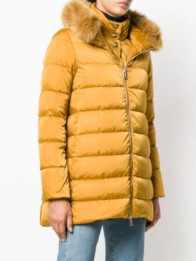 Shop Herno Fur Trimmed Parka In Yellow