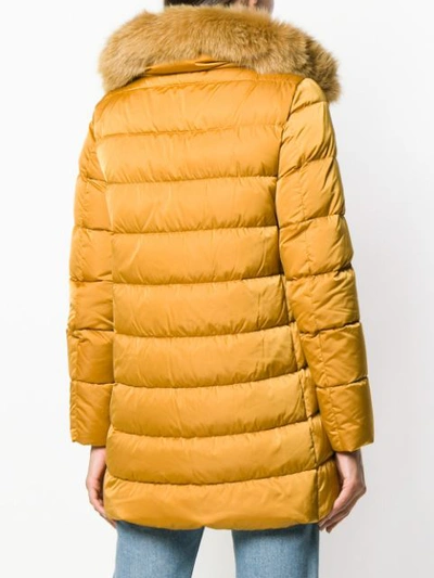 Shop Herno Fur Trimmed Parka In Yellow