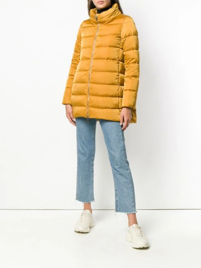 Shop Herno Fur Trimmed Parka In Yellow