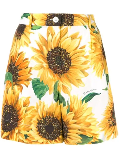 Shop Dolce & Gabbana Sunflower-print Shorts In White