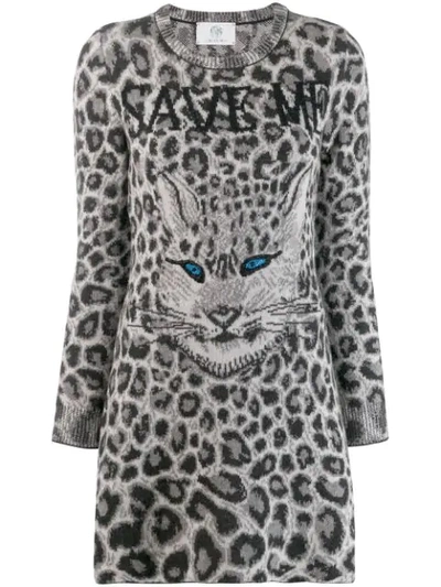 Shop Alberta Ferretti Leopard Intarsia Knit Dress In Grey