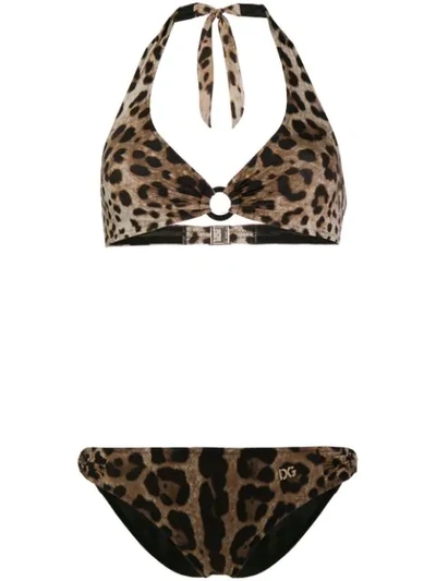 Shop Dolce & Gabbana Leopard Print Bikini In Neutrals