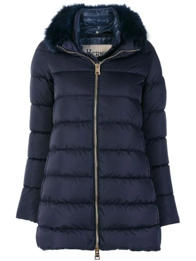 Shop Herno Fur Hood Trim Jacket - Blue