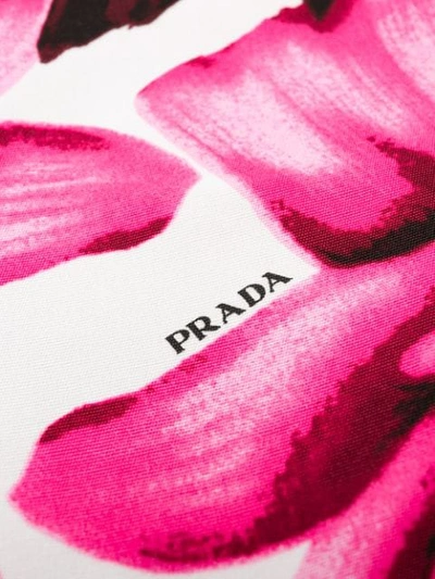 Shop Prada Rose Print Pencil Skirt In Pink