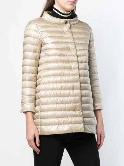 Shop Herno Padded Fitted Jacket In Neutrals
