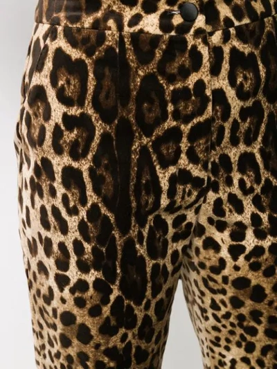 Shop Dolce & Gabbana Leopard Print High-rise Trousers In Brown