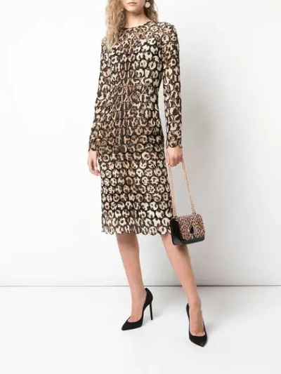 Shop Dolce & Gabbana Embroidered Leopard Print Dress In Brown