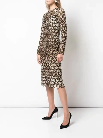 Shop Dolce & Gabbana Embroidered Leopard Print Dress In Brown