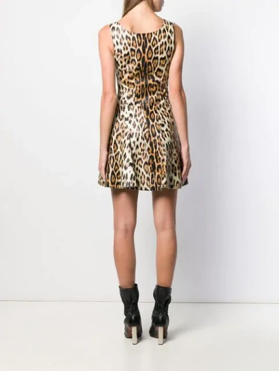 Shop Roberto Cavalli Leopard Print Mini Dress In D5134 Leopard