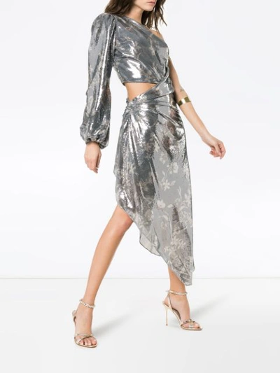 Shop Johanna Ortiz Glassy Orchid Dress In Silver