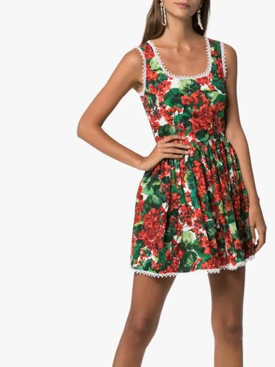 Shop Dolce & Gabbana Portofino-print Mini Dress In Red