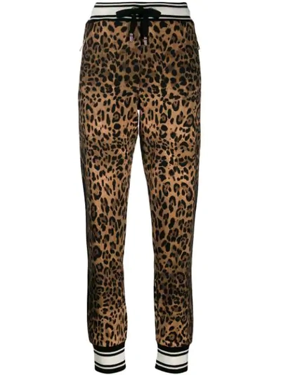 Shop Dolce & Gabbana Leopard Print Track Pants In Hherm Leo