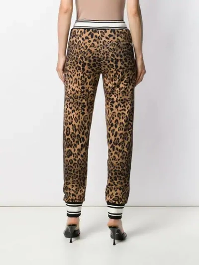 Shop Dolce & Gabbana Leopard Print Track Pants In Hherm Leo