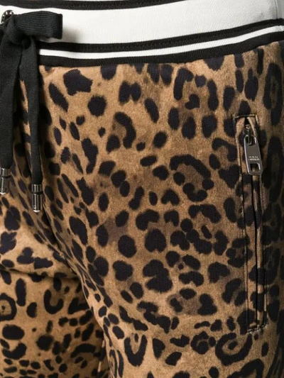 Shop Dolce & Gabbana Leopard Print Track Pants In Hherm Leo