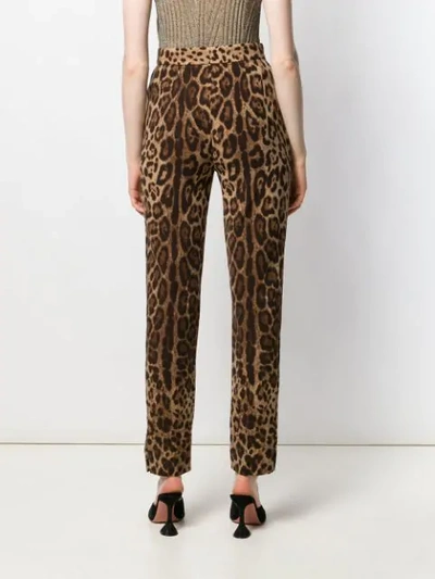 Shop Dolce & Gabbana Hose Mit Animal-print In Hy13m Leo New