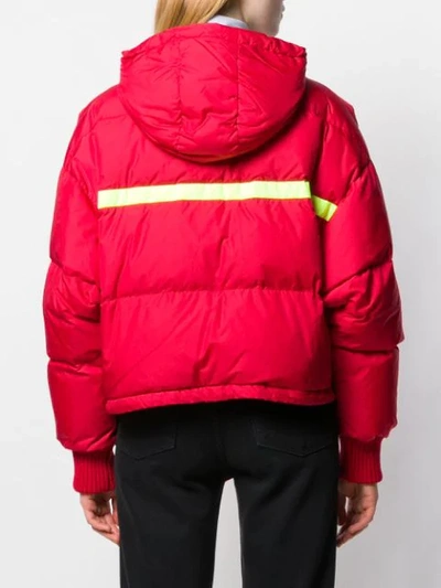 Shop Iceberg Logo Print Puffer Jacket In Red