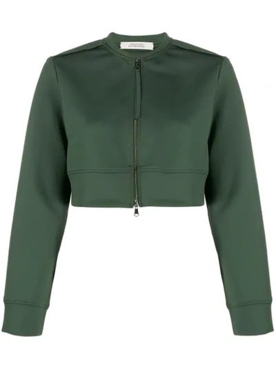 Shop Dorothee Schumacher Cropped Zipped Jacket In 581