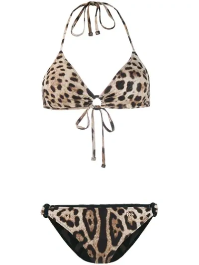Shop Dolce & Gabbana Leopard Print Bikini In Brown