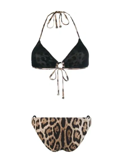 Shop Dolce & Gabbana Leopard Print Bikini In Brown