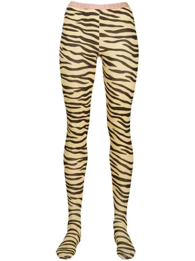 GUCCI ANIMALIER LEGGINGS - 黄色