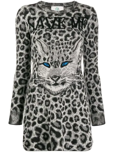 Shop Alberta Ferretti Knitted Leopard Print Dress In Grey