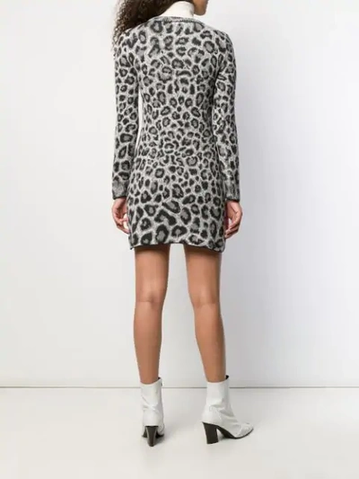 Shop Alberta Ferretti Knitted Leopard Print Dress In Grey