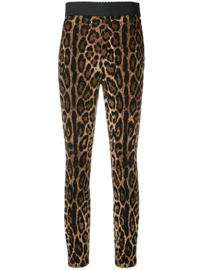 Shop Dolce & Gabbana Leopard-print Cady Leggings In Black