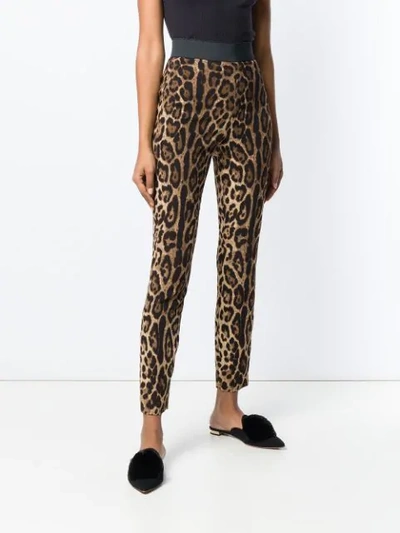 Shop Dolce & Gabbana Leopard-print Cady Leggings In Black