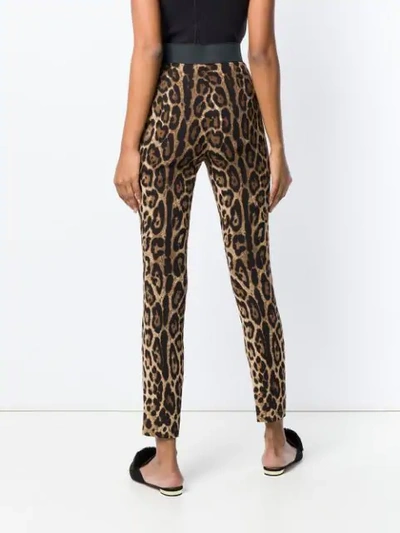 Shop Dolce & Gabbana Leopard-print Cady Leggings In Black