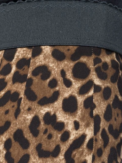 Shop Dolce & Gabbana Leopard-print Cady Leggings In Black