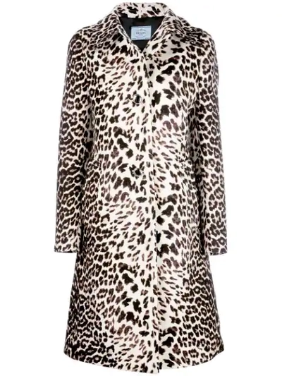 Shop Prada Leopard Print Coat In Brown