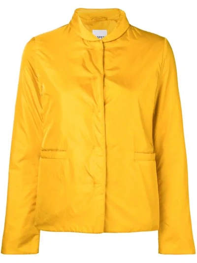 Shop Aspesi Padded Jacket In Yellow