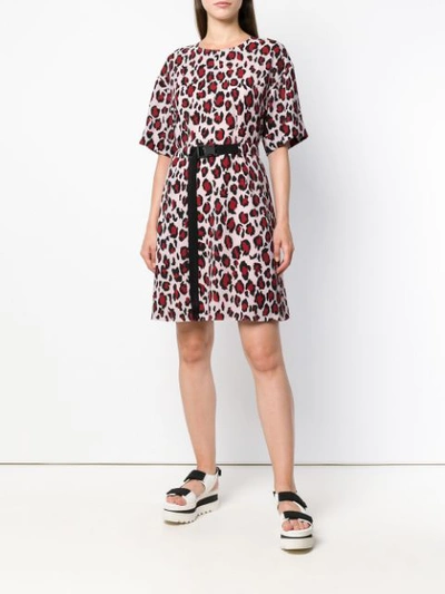 Shop Kenzo Leopard Print Shift Dress - Red