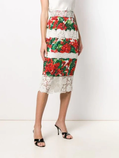 Shop Dolce & Gabbana Portofino Print Cady Skirt In White