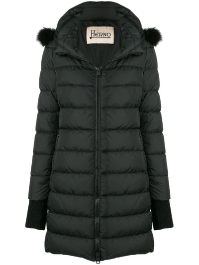 Shop Herno Hooded Zipped Coat - Black