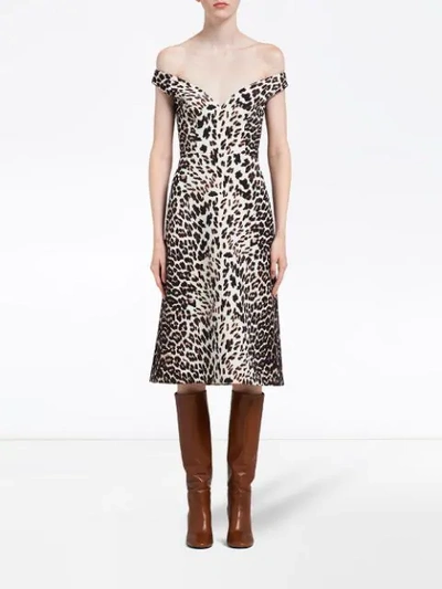 Shop Prada Leopard-print Cady Dress In Brown