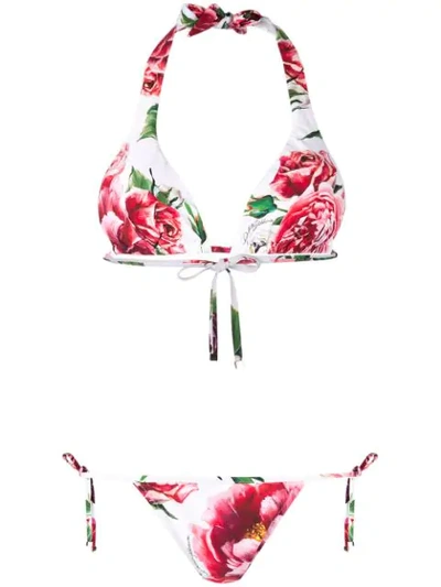 Shop Dolce & Gabbana Rose Print Bikini - White