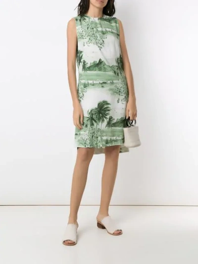 Shop Osklen Sleeveless Sixties Printed Dress In Green