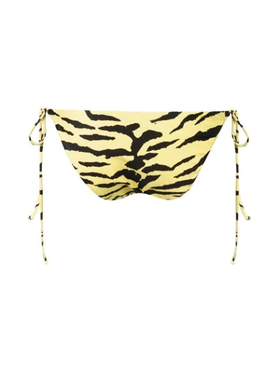 Shop Saint Laurent Tiger Print Bikini Bottom In Yellow