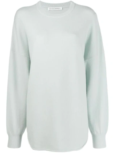 Shop Extreme Cashmere Cashmere Blend Relaxed Fit Jumper In Green