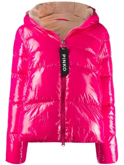 Shop Pinko   Padded Hooded Jacket In N17 Fuxia