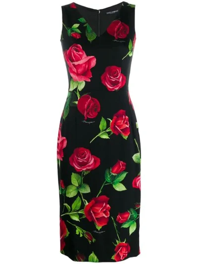 Shop Dolce & Gabbana Rose Print Midi Dress In Black