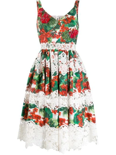 Shop Dolce & Gabbana Hydrangea Print Lace Panelled Dress In Red