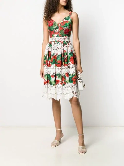 Shop Dolce & Gabbana Hydrangea Print Lace Panelled Dress In Red