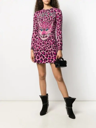Shop Alberta Ferretti Cat Face Sweater Dress In Pink