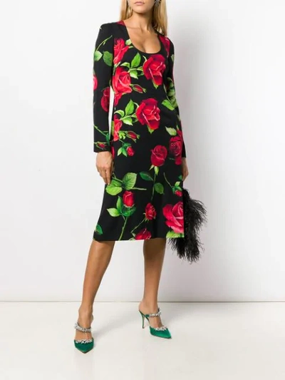 Shop Dolce & Gabbana Rose Print Sheat Dress In Black