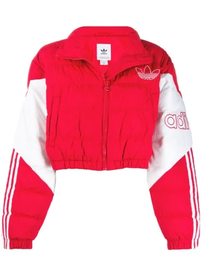 Shop Adidas Originals Padded Cropped Jacket In Red