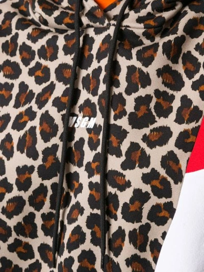 Shop Msgm Leopard Print Panelled Hoodie In 23 Beige