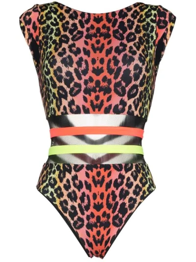 Shop Agent Provocateur Zenaya Leopard Print Swimsuit In Multicolour