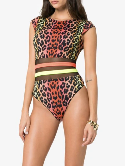 Shop Agent Provocateur Zenaya Leopard Print Swimsuit In Multicolour